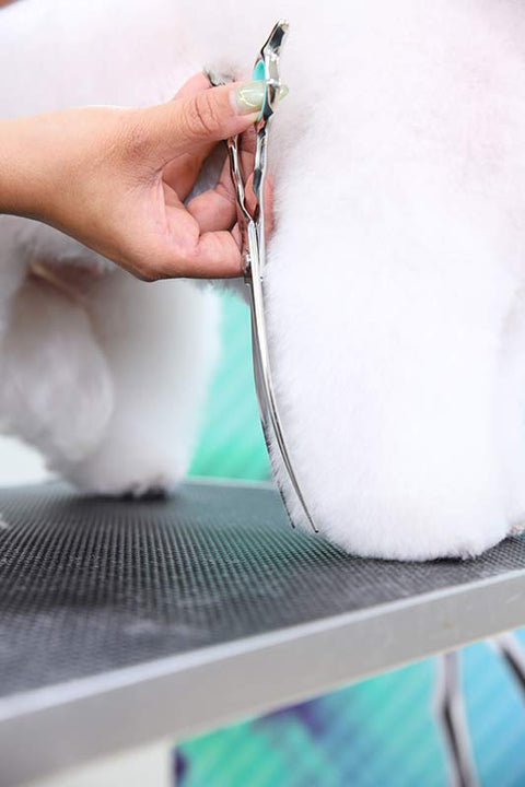 Zora A-800C Curved Pet Grooming Shear